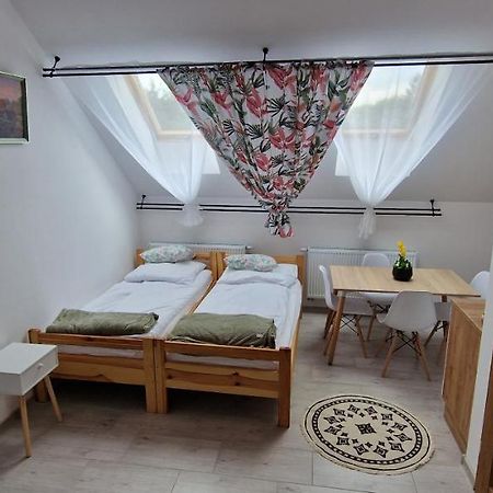 Zielona Ostoja Ulica Szpitalna 3C Apartment Kamieniec Ząbkowicki Екстериор снимка