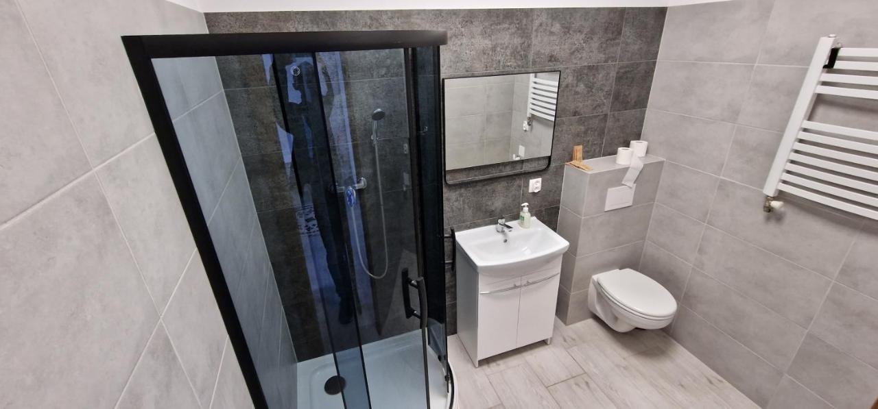 Zielona Ostoja Ulica Szpitalna 3C Apartment Kamieniec Ząbkowicki Екстериор снимка