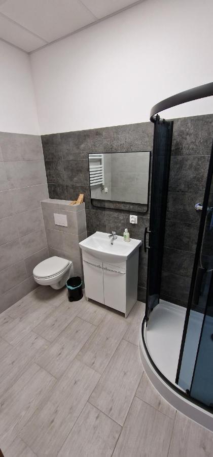 Zielona Ostoja Ulica Szpitalna 3C Apartment Kamieniec Ząbkowicki Екстериор снимка