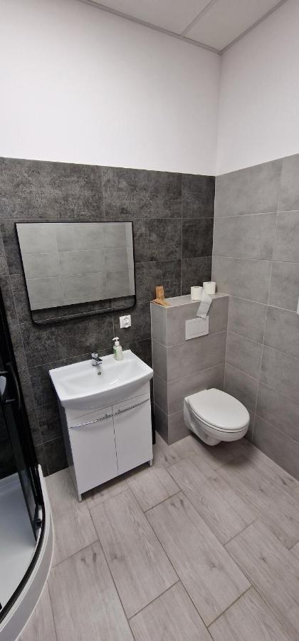 Zielona Ostoja Ulica Szpitalna 3C Apartment Kamieniec Ząbkowicki Екстериор снимка